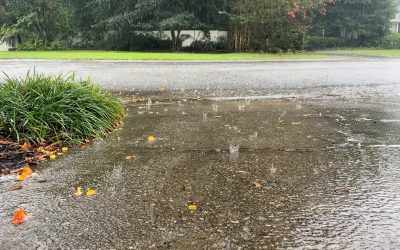 Blessings in disguise